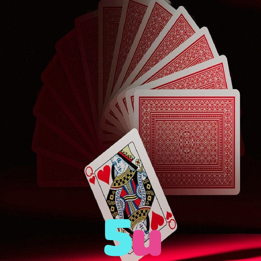  5u